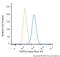 Trans-Golgi Network Protein 2 antibody, NBP1-49643AF488, Novus Biologicals, Flow Cytometry image 