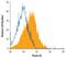 Plexin B3 antibody, AF6879, R&D Systems, Flow Cytometry image 