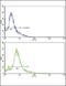 S-Phase Kinase Associated Protein 2 antibody, PA5-35331, Invitrogen Antibodies, Flow Cytometry image 