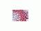 Lamin A/C antibody, LS-C82250, Lifespan Biosciences, Immunohistochemistry frozen image 