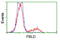 Phenazine biosynthesis-like domain-containing protein antibody, LS-C115709, Lifespan Biosciences, Flow Cytometry image 