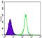 Sirtuin 1 antibody, GTX82793, GeneTex, Flow Cytometry image 