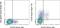 Ectonucleoside Triphosphate Diphosphohydrolase 1 antibody, 67-0391-82, Invitrogen Antibodies, Flow Cytometry image 