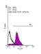 POU Class 5 Homeobox 1 antibody, GTX101497, GeneTex, Flow Cytometry image 