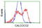 CALCOCO2 antibody, TA501972, Origene, Flow Cytometry image 