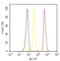 Inositol 1,4,5-Trisphosphate Receptor Type 1 antibody, PA1-901, Invitrogen Antibodies, Flow Cytometry image 