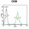 2'-Deoxynucleoside 5'-Phosphate N-Hydrolase 1 antibody, abx032667, Abbexa, Western Blot image 