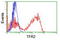 Transferrin Receptor 2 antibody, TA504563, Origene, Flow Cytometry image 