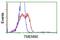 Transmembrane Protein 80 antibody, GTX83505, GeneTex, Flow Cytometry image 