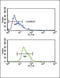 Alcohol Dehydrogenase 1C (Class I), Gamma Polypeptide antibody, LS-C156086, Lifespan Biosciences, Flow Cytometry image 