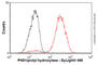 Egl-9 Family Hypoxia Inducible Factor 2 antibody, ab108980, Abcam, Flow Cytometry image 