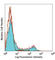 CD27 Molecule antibody, 124205, BioLegend, Flow Cytometry image 