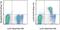 Lymphocyte antigen 6G antibody, 46-9668-80, Invitrogen Antibodies, Flow Cytometry image 