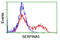 Serpin Family A Member 5 antibody, LS-C173821, Lifespan Biosciences, Flow Cytometry image 