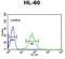 Small Nuclear Ribonucleoprotein D1 Polypeptide antibody, GTX81985, GeneTex, Flow Cytometry image 