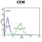 Solute Carrier Family 22 Member 6 antibody, abx034289, Abbexa, Western Blot image 