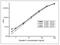 Cystatin C antibody, NBP1-05763, Novus Biologicals, Enzyme Linked Immunosorbent Assay image 