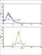 Adiponectin Receptor 1 antibody, abx034037, Abbexa, Flow Cytometry image 