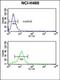 Protein Phosphatase 1 Regulatory Inhibitor Subunit 1B antibody, orb304516, Biorbyt, Flow Cytometry image 