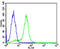 Ribosomal Protein S6 antibody, MBS9200034, MyBioSource, Flow Cytometry image 