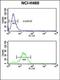 Junction Plakoglobin antibody, orb214145, Biorbyt, Flow Cytometry image 