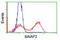 BAI1 Associated Protein 2 antibody, TA503013, Origene, Flow Cytometry image 