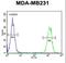 p58 NK receptor CL-43 antibody, LS-C165526, Lifespan Biosciences, Flow Cytometry image 