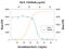 Interleukin 5 antibody, AF545, R&D Systems, Western Blot image 