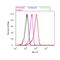 Nuclear Receptor Subfamily 3 Group C Member 1 antibody, PA1-510A, Invitrogen Antibodies, Flow Cytometry image 