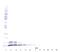 CTAP-III antibody, XP-5245, ProSci, Western Blot image 