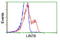 Lin-7 Homolog B, Crumbs Cell Polarity Complex Component antibody, LS-C115441, Lifespan Biosciences, Flow Cytometry image 