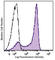 Lymphocyte antigen 6G antibody, 127629, BioLegend, Flow Cytometry image 
