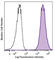 CD70 Molecule antibody, 355103, BioLegend, Flow Cytometry image 