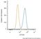 Autophagy Related 9A antibody, NB110-56893, Novus Biologicals, Flow Cytometry image 