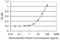 Asialoglycoprotein Receptor 2 antibody, H00000433-M05, Novus Biologicals, Enzyme Linked Immunosorbent Assay image 