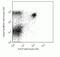 CD8 antibody, MCD0831, Invitrogen Antibodies, Flow Cytometry image 