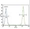 Actin Alpha 1, Skeletal Muscle antibody, LS-C155982, Lifespan Biosciences, Flow Cytometry image 