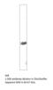 Bestrophin 2 antibody, MBS540381, MyBioSource, Western Blot image 