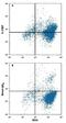 Interleukin-22 receptor subunit alpha-2 antibody, MAB10871, R&D Systems, Flow Cytometry image 