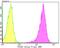 Protein Interacting With PRKCA 1 antibody, A02457-1, Boster Biological Technology, Flow Cytometry image 