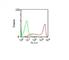 CD45RA antibody, NBP2-44851, Novus Biologicals, Flow Cytometry image 