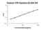 Interferon Gamma antibody, EK0373, Boster Biological Technology, Enzyme Linked Immunosorbent Assay image 