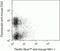 Ly55c antibody, MM6628, Invitrogen Antibodies, Flow Cytometry image 