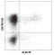 Interferon Gamma antibody, LS-C41022, Lifespan Biosciences, Flow Cytometry image 