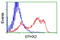 Epoxide Hydrolase 2 antibody, LS-C115670, Lifespan Biosciences, Flow Cytometry image 