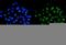 Methyltransferase Like 14 antibody, A07389-2, Boster Biological Technology, Immunofluorescence image 
