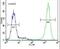 Tigger transposable element-derived protein 3 antibody, PA5-24519, Invitrogen Antibodies, Flow Cytometry image 