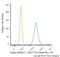 MART1 antibody, NBP2-33148AF594, Novus Biologicals, Flow Cytometry image 