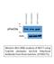 Forkhead Box O3 antibody, STJ90275, St John