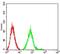 Glutamate Ionotropic Receptor NMDA Type Subunit 2B antibody, NBP2-61746, Novus Biologicals, Flow Cytometry image 